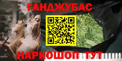 дмт Дубна