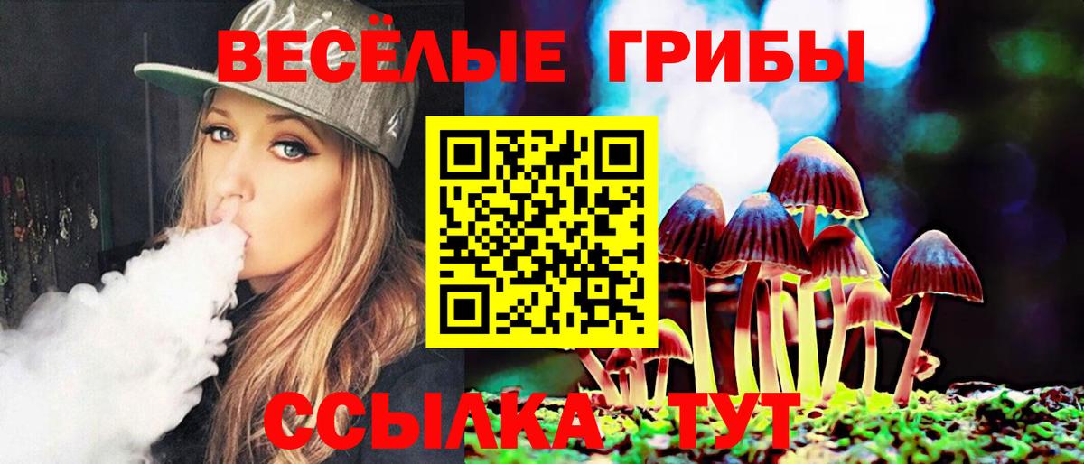 Псилоцибиновые грибы Psilocybine cubensis Нефтеюганск